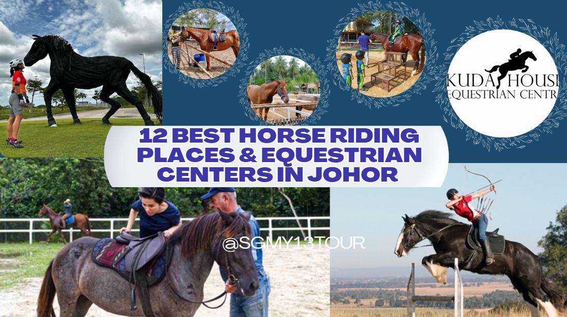 Image for 12 Best Horse Riding Places & Equestrian Centers In Johor 