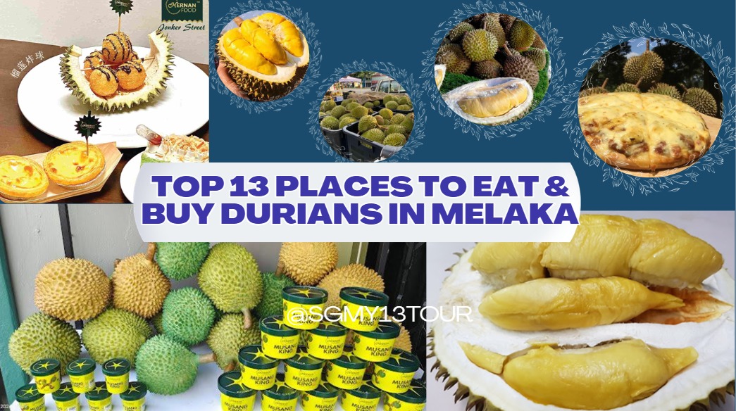 Image for Top 13 Places To Eat & Buy Durians In Melaka